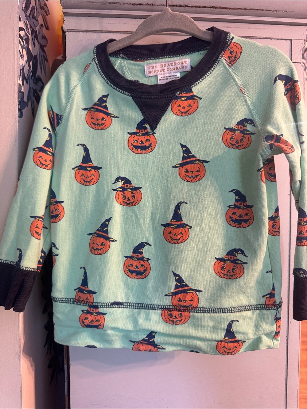 The Beaufort Bonnet Company Kids' Mint Pumpkin Sweatshirt